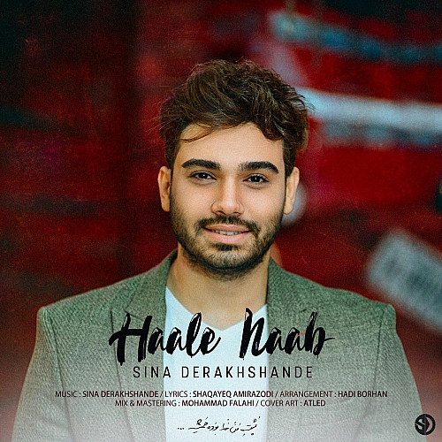 Cover artwork for Hale Naab by Sina Derakhshande